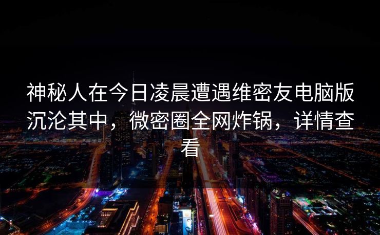 神秘人在今日凌晨遭遇维密友电脑版沉沦其中，微密圈全网炸锅，详情查看