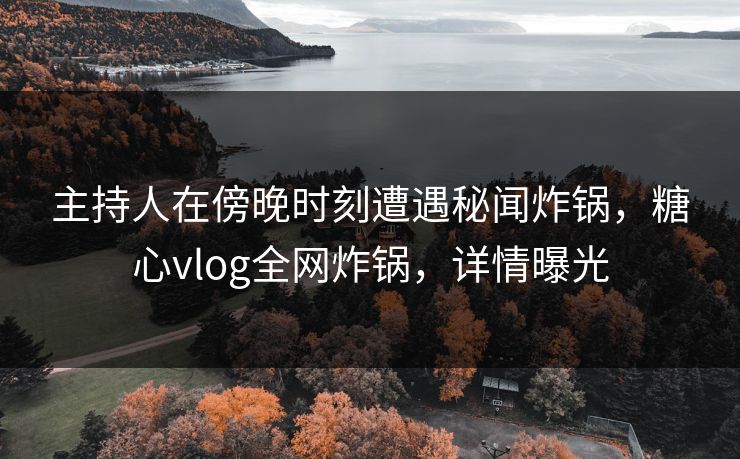 主持人在傍晚时刻遭遇秘闻炸锅，糖心vlog全网炸锅，详情曝光