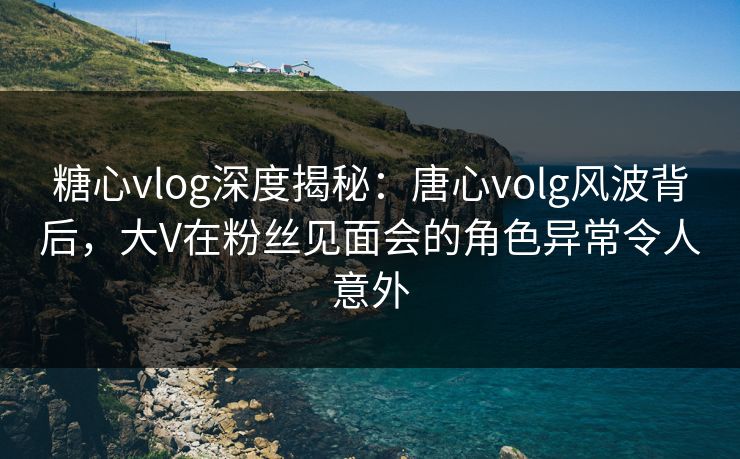 糖心vlog深度揭秘：唐心volg风波背后，大V在粉丝见面会的角色异常令人意外