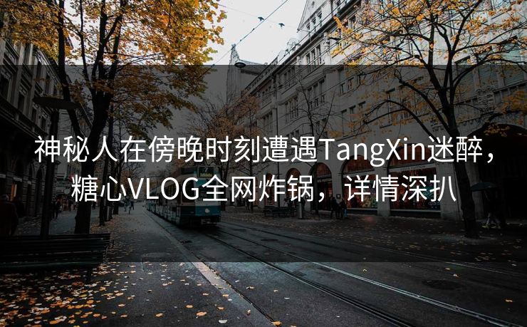 神秘人在傍晚时刻遭遇TangXin迷醉，糖心VLOG全网炸锅，详情深扒