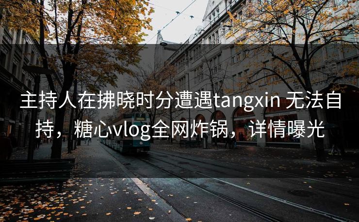 主持人在拂晓时分遭遇tangxin 无法自持，糖心vlog全网炸锅，详情曝光
