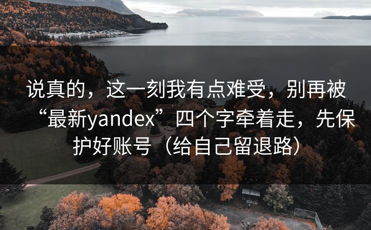 说真的,这一刻我有点难受,别再被“最新yandex”四个字牵着走,先保护好账号(给自己留退路) 说真的,这一刻我有点难受,别再被“最新yandex”四个字牵着走,先保护好账号(给自己留退路)
