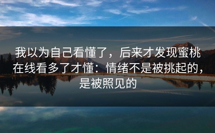 我以为自己看懂了，后来才发现蜜桃在线看多了才懂：情绪不是被挑起的，是被照见的